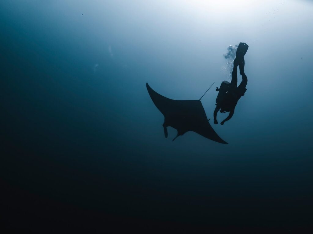 A Deep Dive into Sinkom: Features, Benefits, and Insights