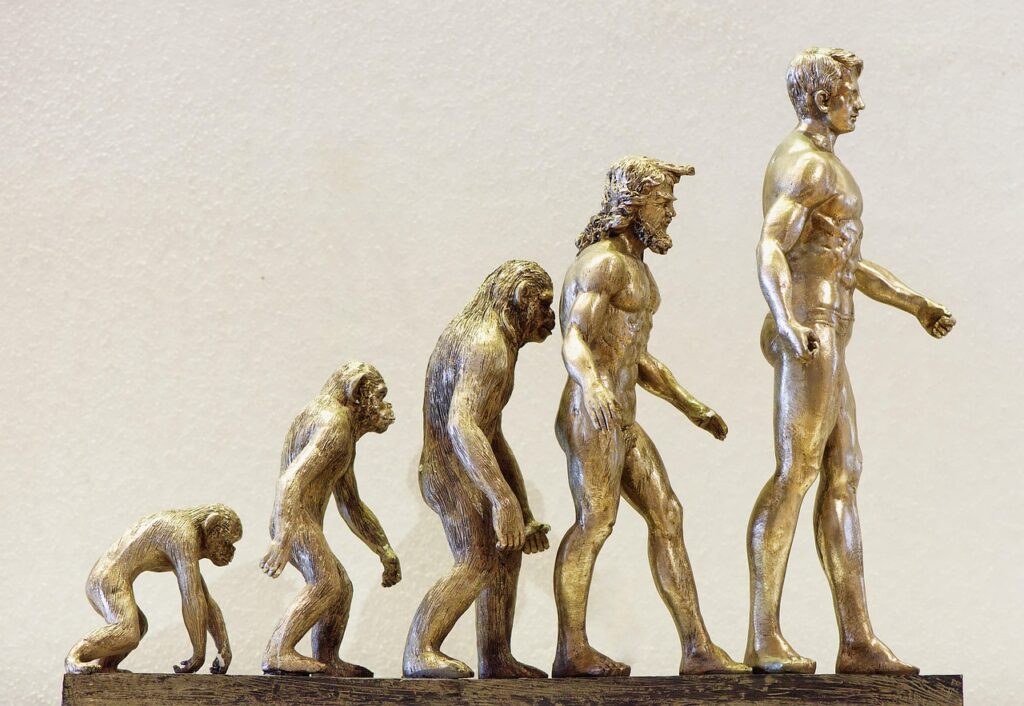The Evolution of Transds: How They Are Changing the Digital Landscape