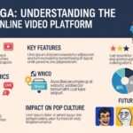 Twidouga: Understanding the Popular Online Video Platform