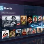 Banflix: Exploring the Emerging Concept of a Digital Streaming Platform